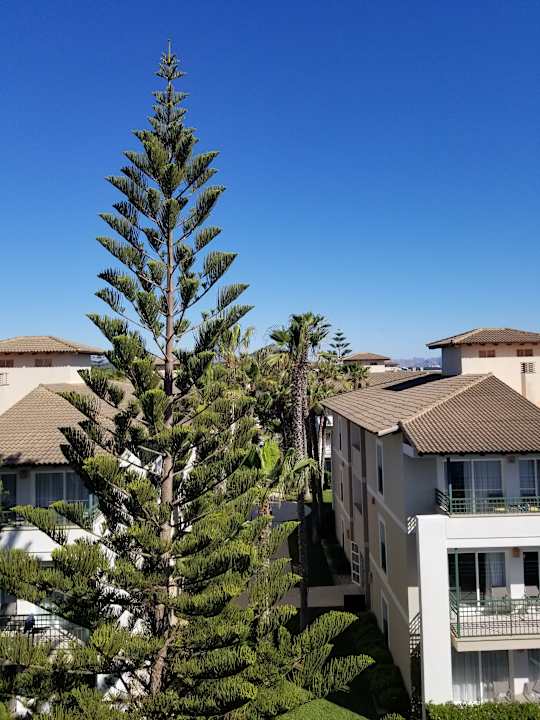 Ausblick Playa Garden Selection Hotel & Spa