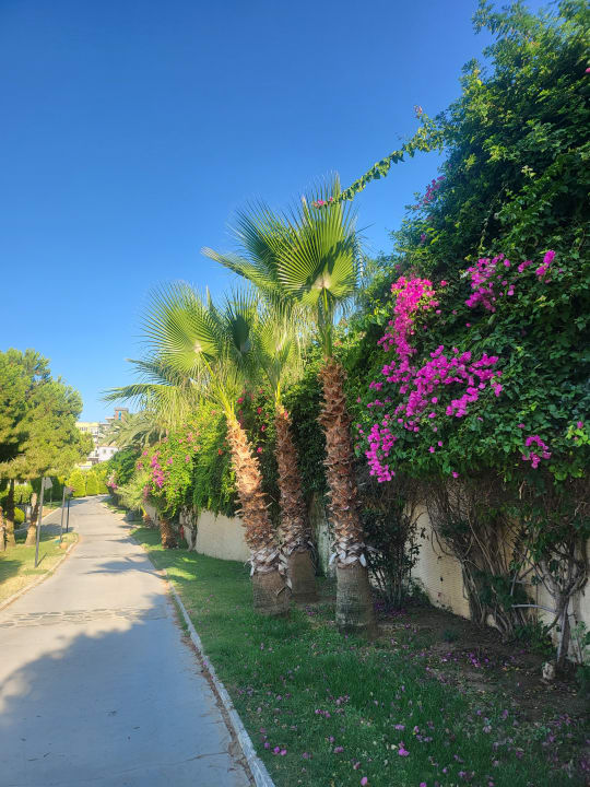 Gartenanlage Aria Claros Beach & Spa Resort