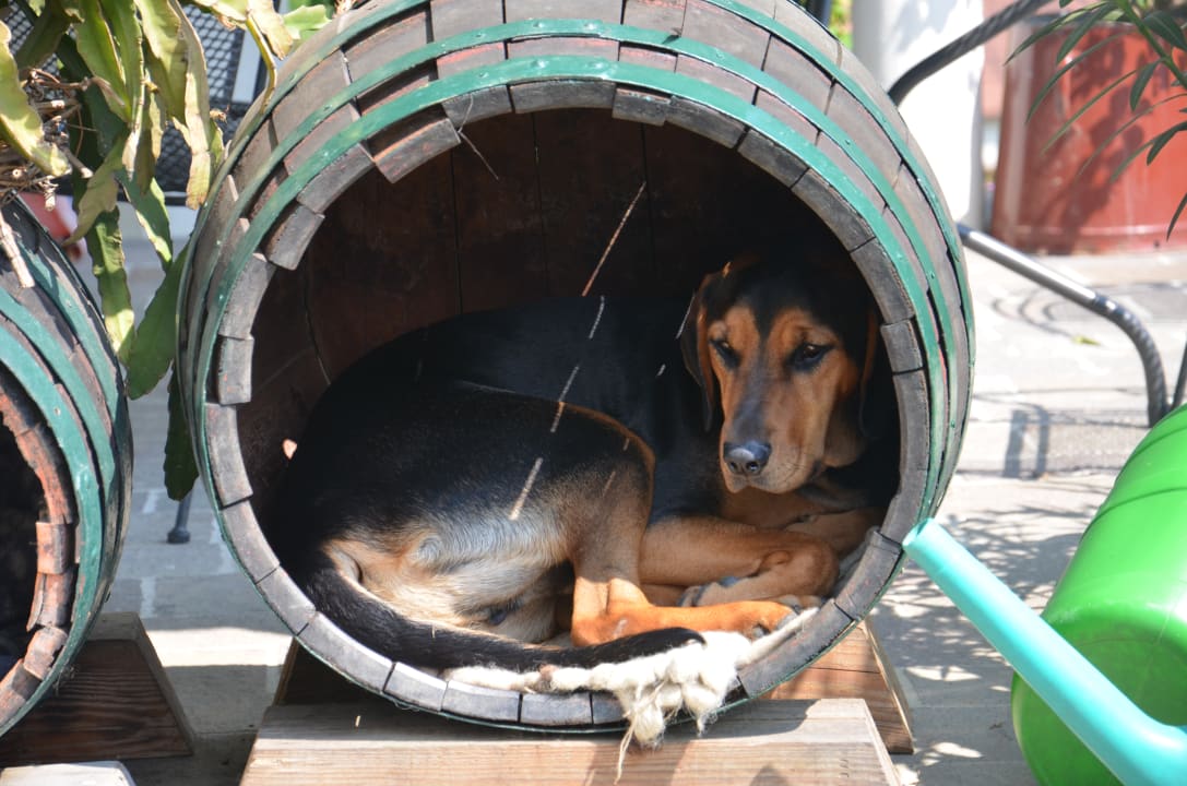 Sonstiges Ferienwohnungen Ofenmacherhof