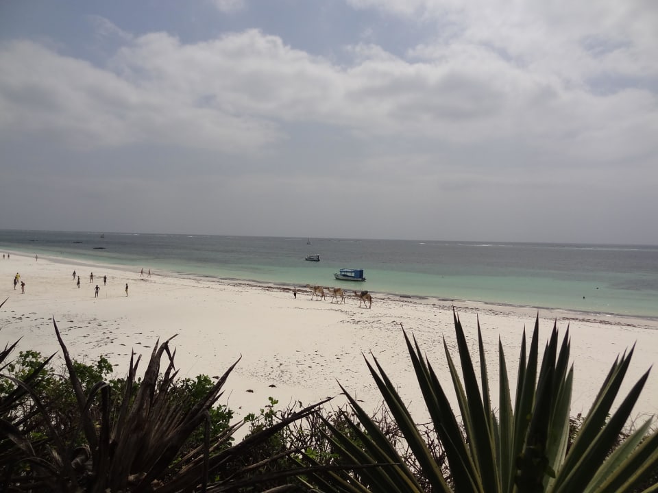 Odpływ, Baobab Beach Resort & Spa