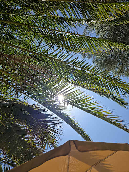Pool Lago Garden