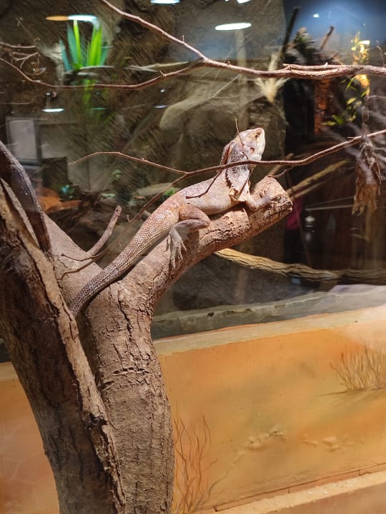 Sport & Freizeit Ferienwohnungen Ferienpark Weissenhäuser Strand