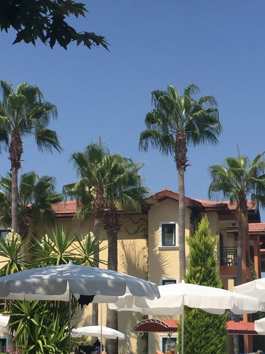 Pool Hotel Miramare Beach