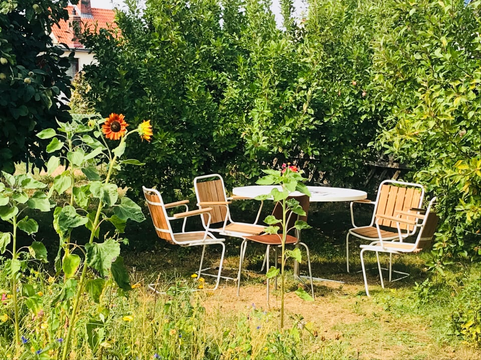 Gartenanlage Casa Marcu Wohnung 1