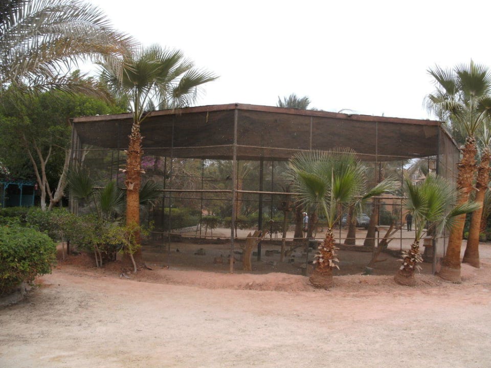 Große Vogelvoliere Giftun Azur Resort