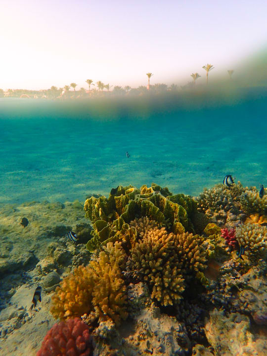 Strand Pyramisa Beach Resort Sahl Hasheesh