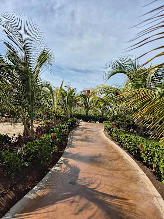 Gartenanlage Hotel Riu Palace Santa Maria