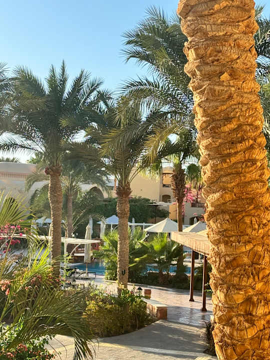 Gartenanlage Steigenberger Coraya Beach - Adults only