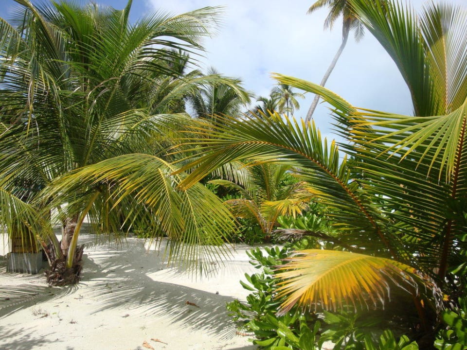 Beim 110er Villenbereich Meeru Maldives Resort Island