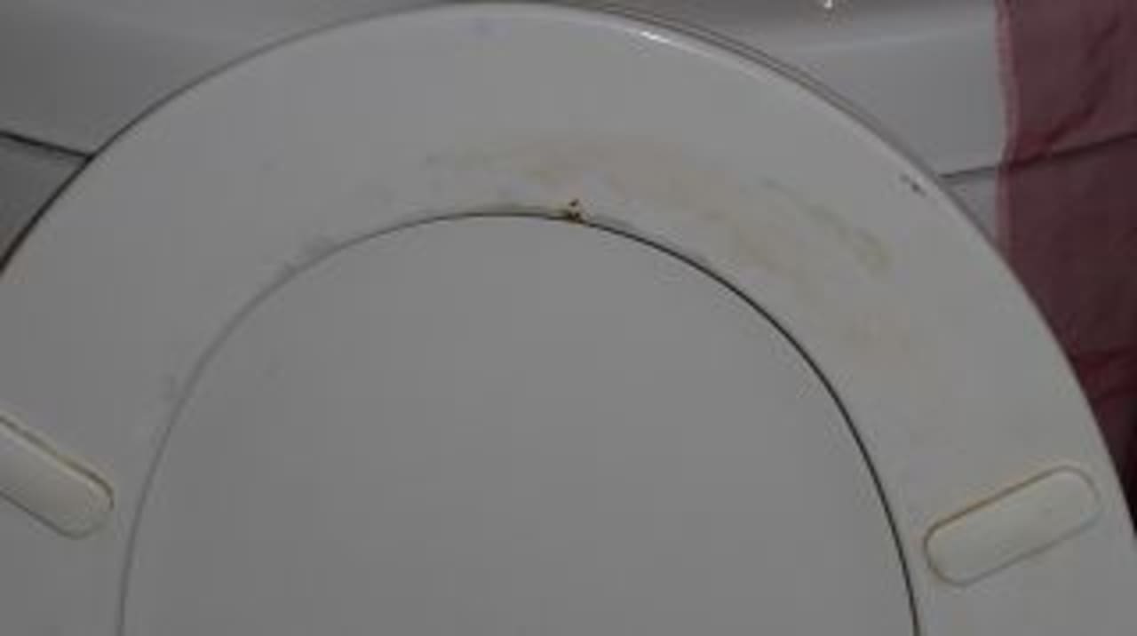 Zimmer Guesthouse The Thorntree Country House