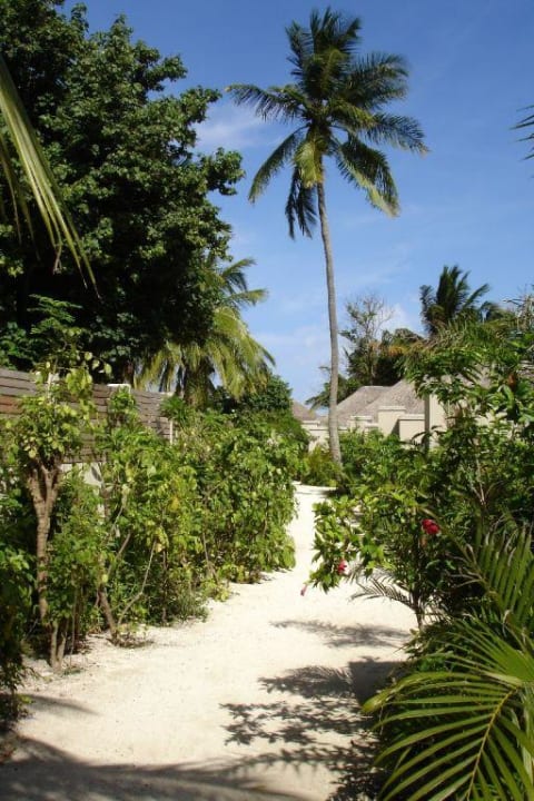 Der Weg hinter den Bungalows Baros Maldives Resort