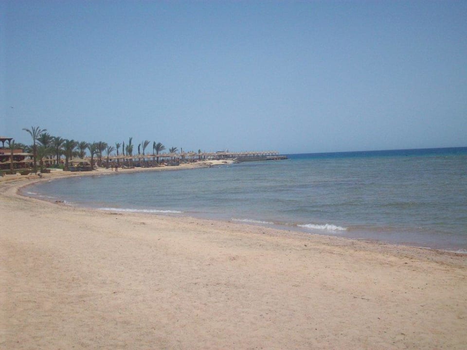 Strand bei Flut Pickalbatros Palace Resort