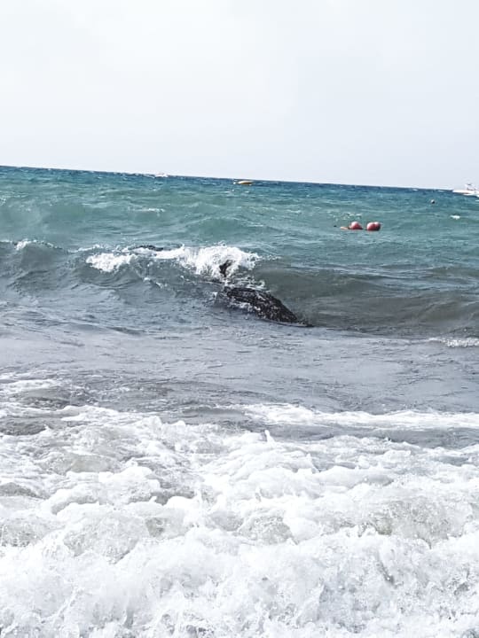 Ausblick Aydinbey Kings Palace & Spa