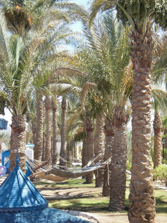 Beach The Grand Hotel Hurghada