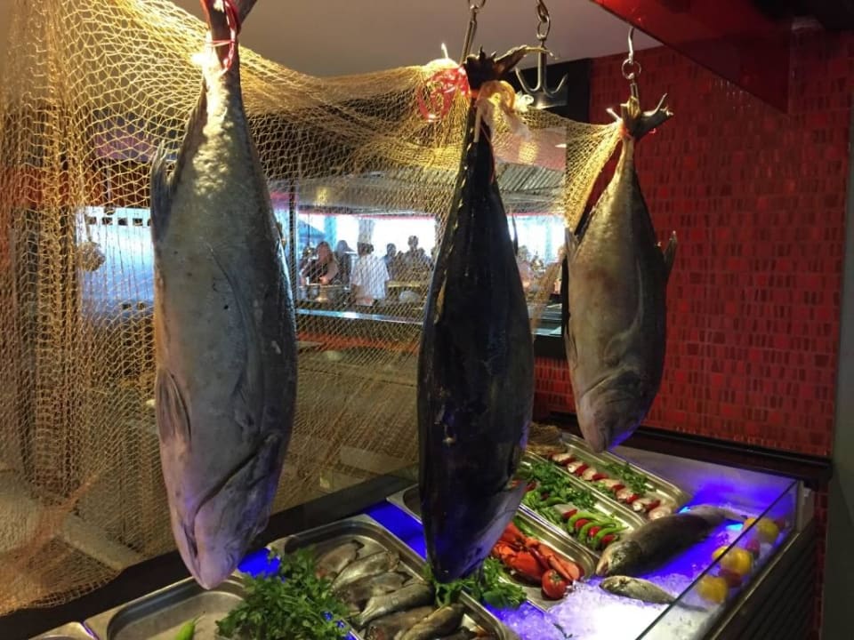 Echte Fische in der Fischtheke Limak Lara Deluxe Hotel & Resort