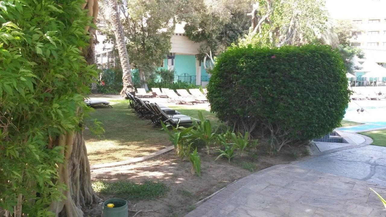 Gartenanlage Strandzugang Le Meridien Abu Dhabi Resort