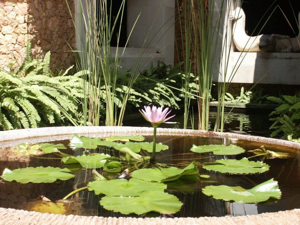 lotus Puri Santrian