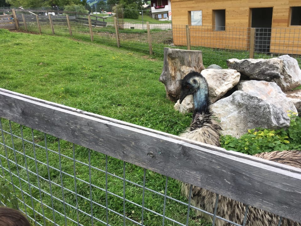 Gartenanlage Hotel Chalets Grosslehen