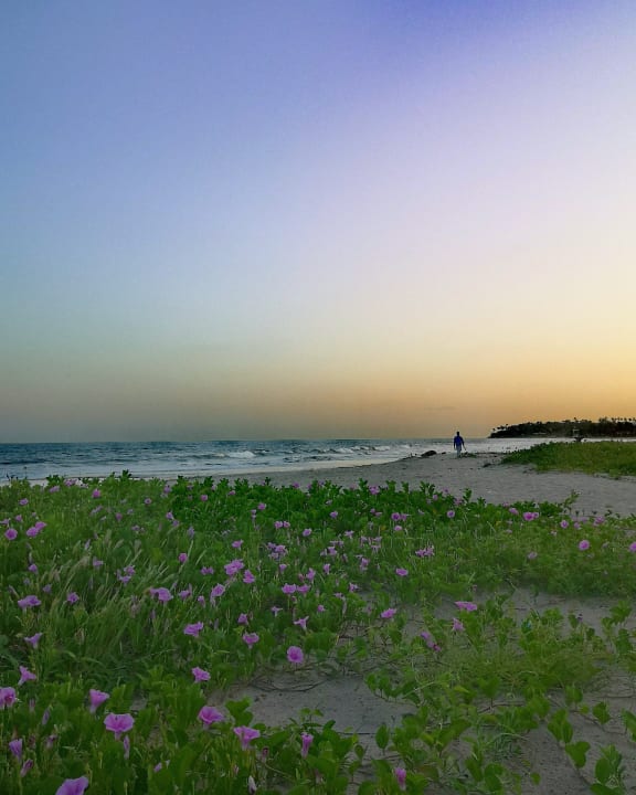 Strand TUI BLUE Tamala