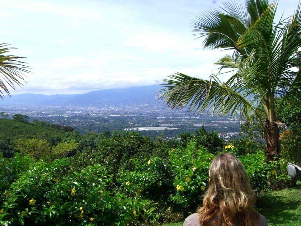 Blick auf San José Hotel Buena Vista