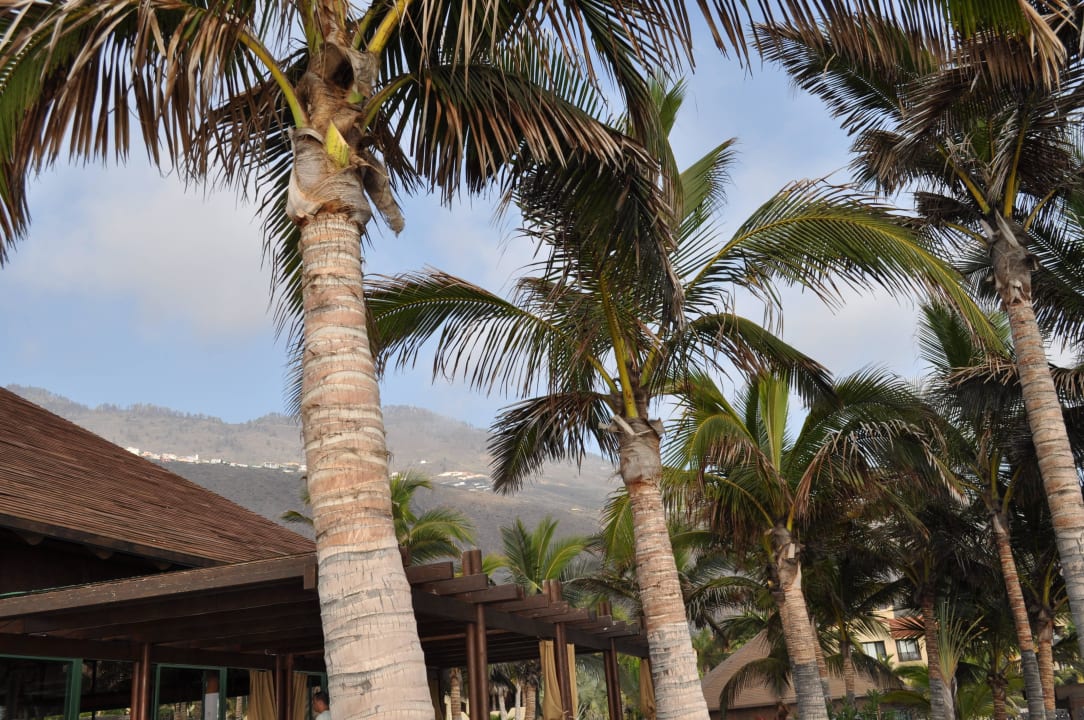 W restauracji nad oceanem La Palma Princess