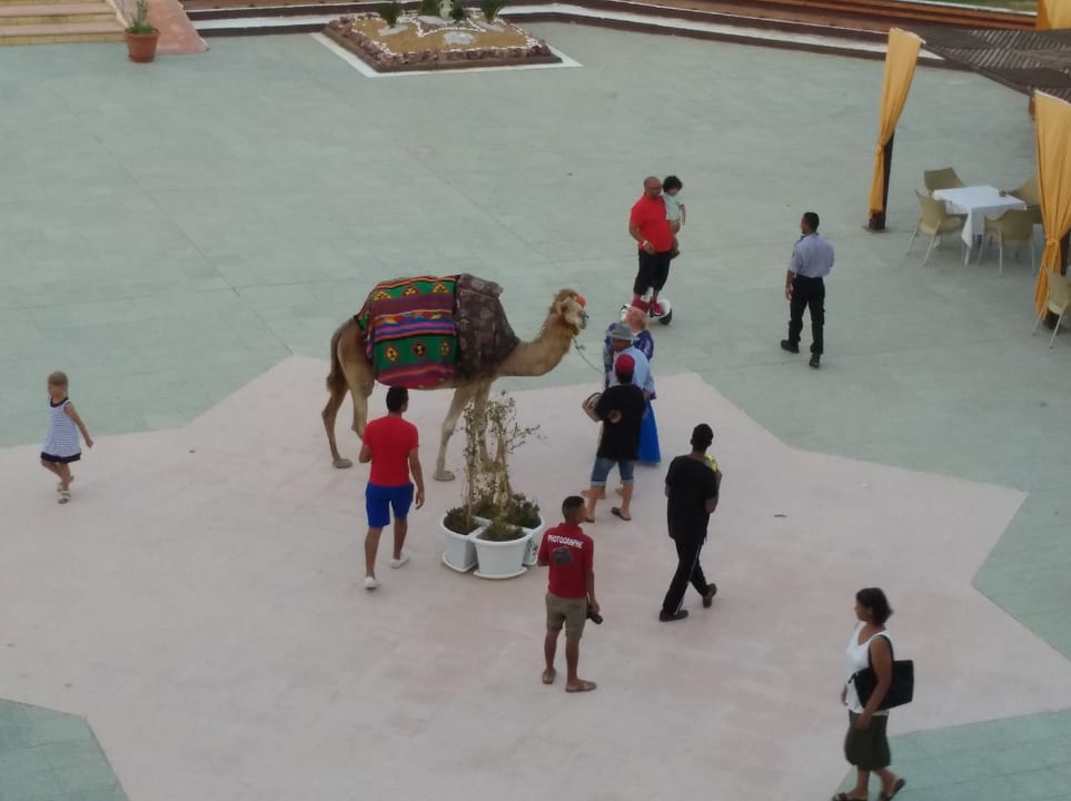 Außenansicht Hotel Neptunia Skanes