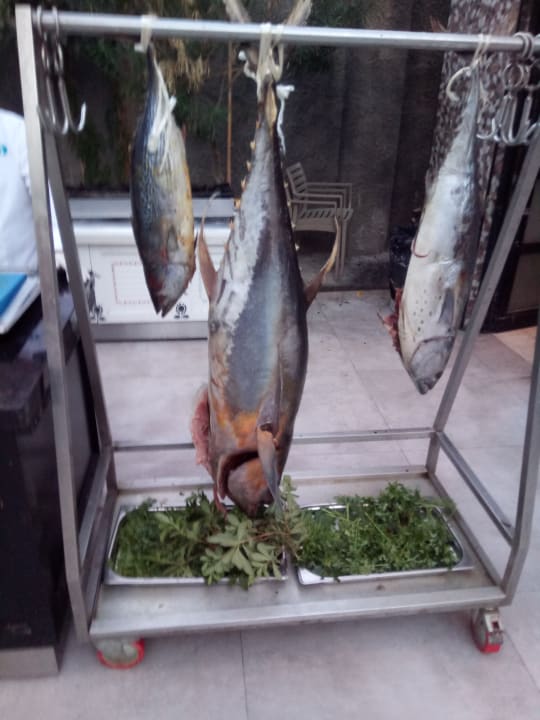 Gastro Numa Bay Exclusive Hotel