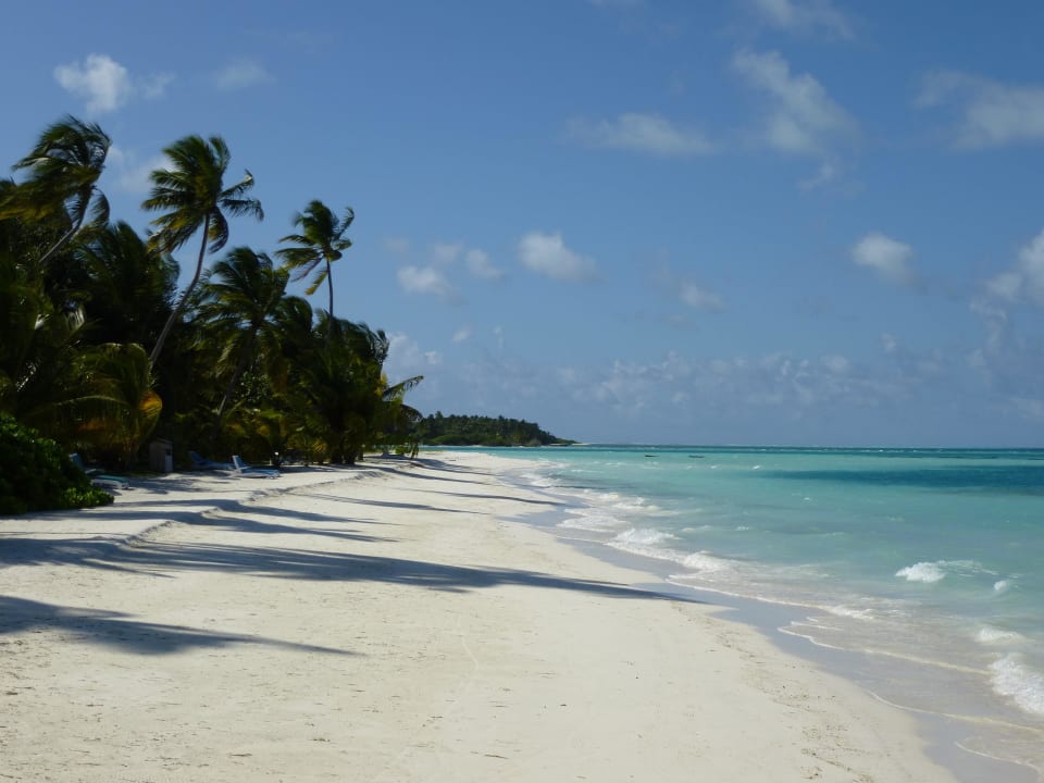 Tägliche Spaziergänge hier einfach  toll!! Meeru Maldives Resort Island