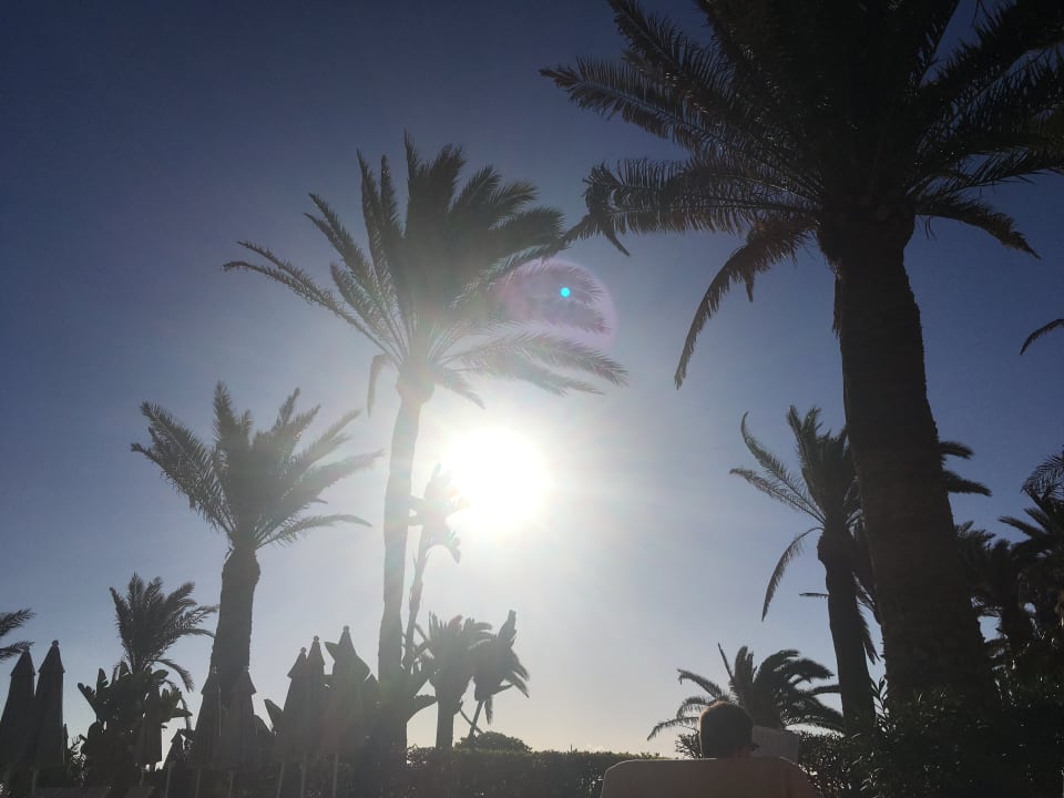 Vom Pool aus Hotel Riu Oliva Beach - Hotel