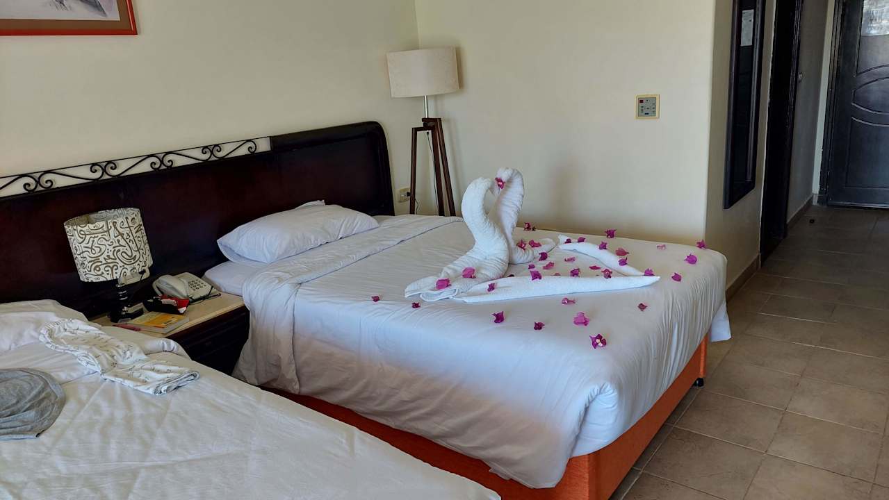 Zimmer Wadi Lahmy Azur Resort