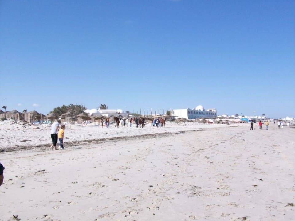 Strand Djerba Sun Beach Hotel & Spa
