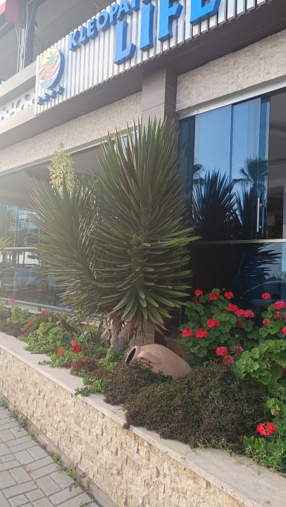 Gartenanlage Kleopatra Life Hotel