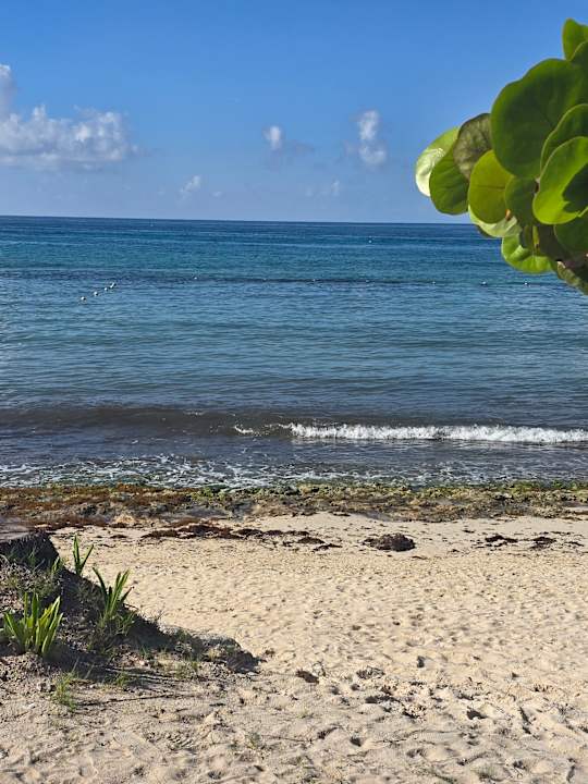 Strand Iberostar Selection Hacienda Dominicus