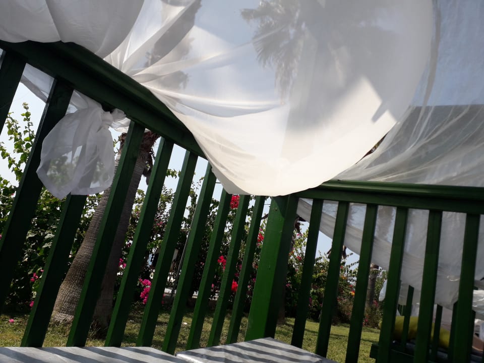 Pool Hotel Botanik Platinum