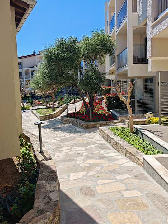 Gartenanlage Arum Barut Collection