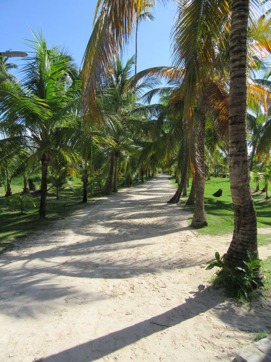 Gartenanlage Villas Bavaro Resort & Spa