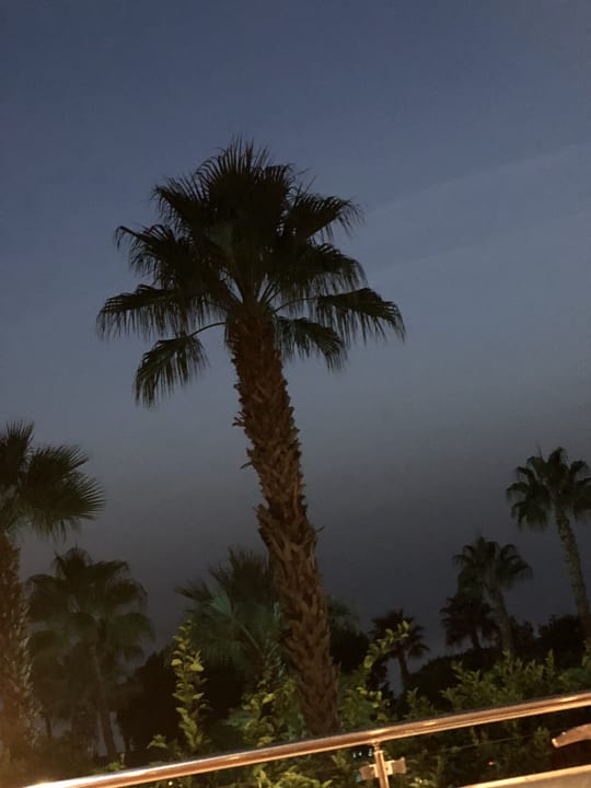 Außenansicht Hotel Grand Side