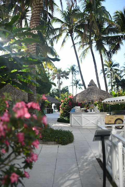 Pool The Palms Hotel & Spa