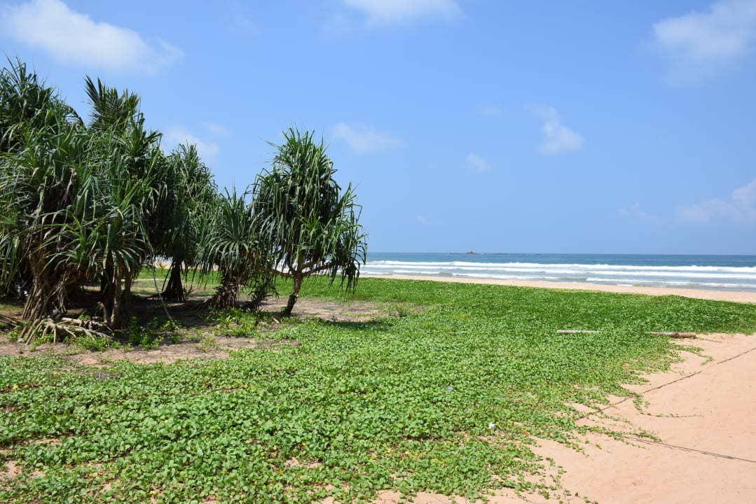 Strand NH Bentota Ceysands Resort