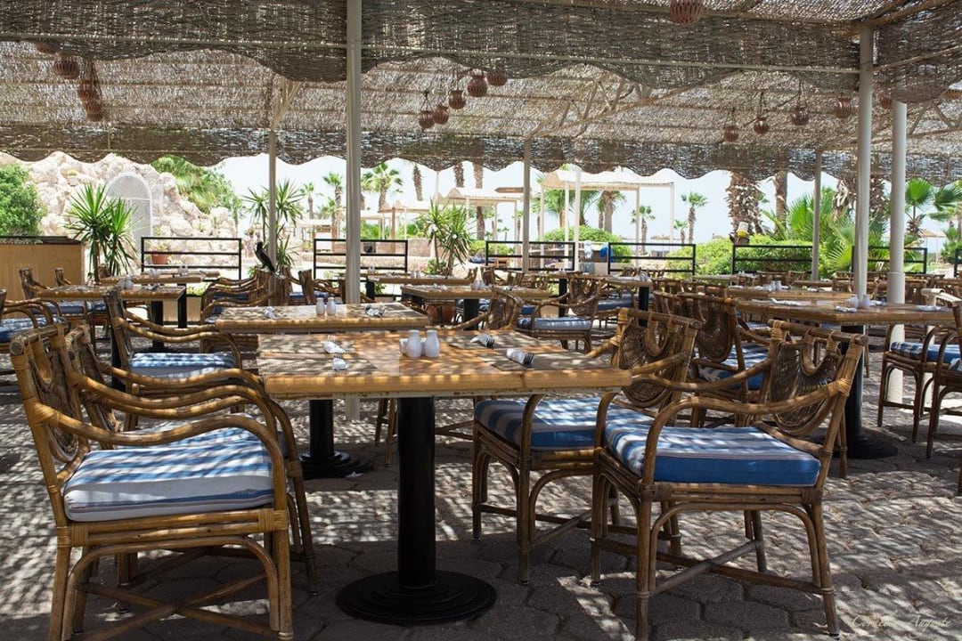 Terrasse am Hafen Pickalbatros Citadel Resort