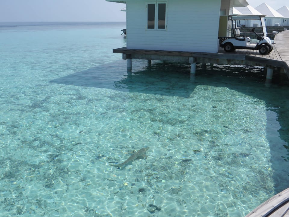 Meer bei den Wasservillen ananea Diamonds Athuruga