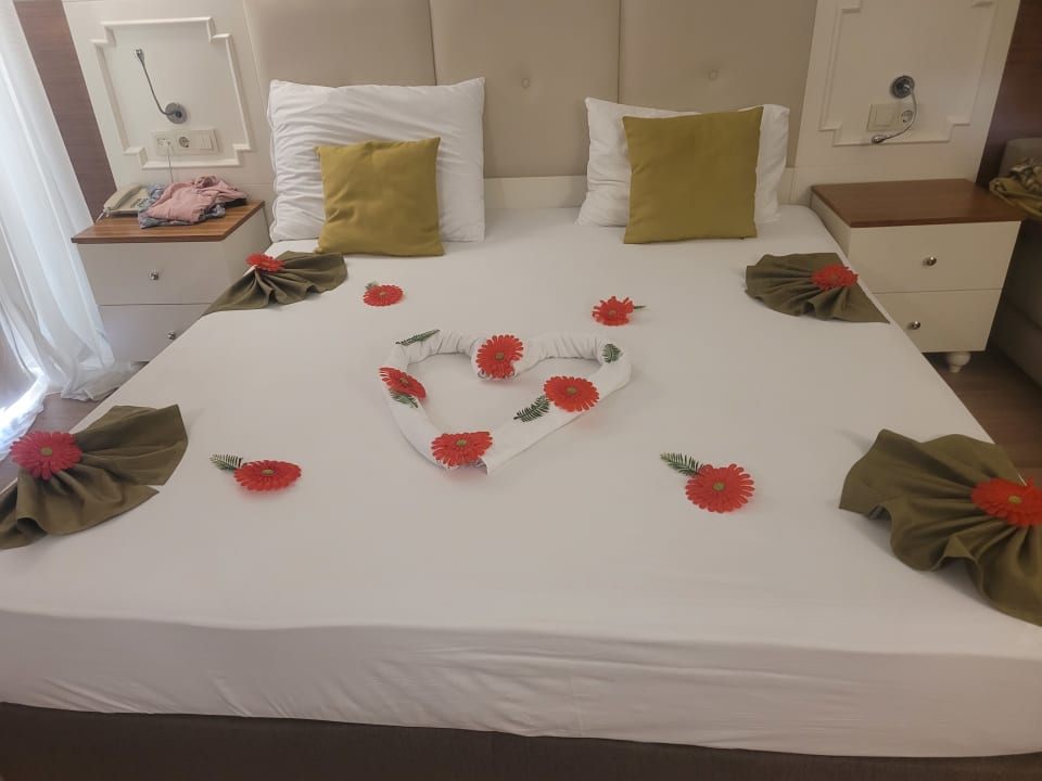 Zimmer Well Palace Side