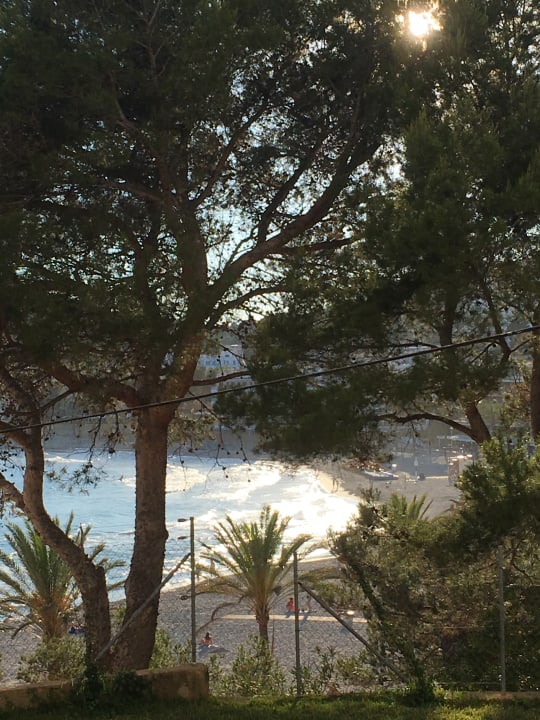 Strand Valentin Reina Paguera