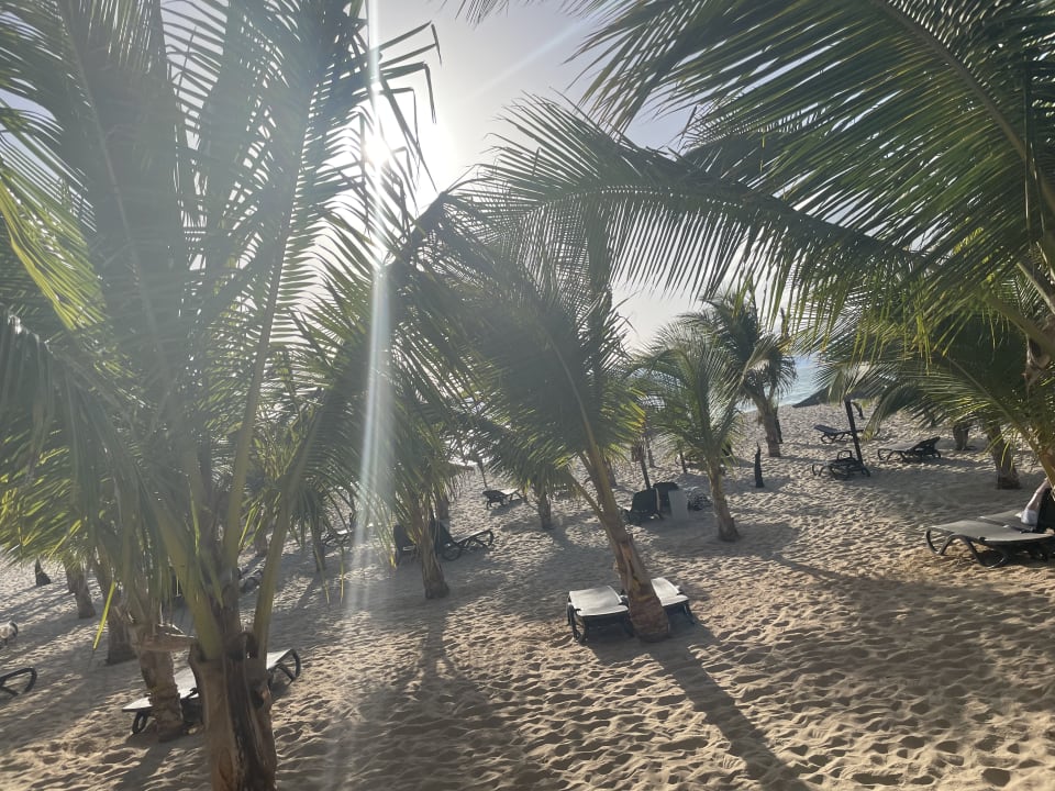 Strand Hotel Riu Palace Boavista