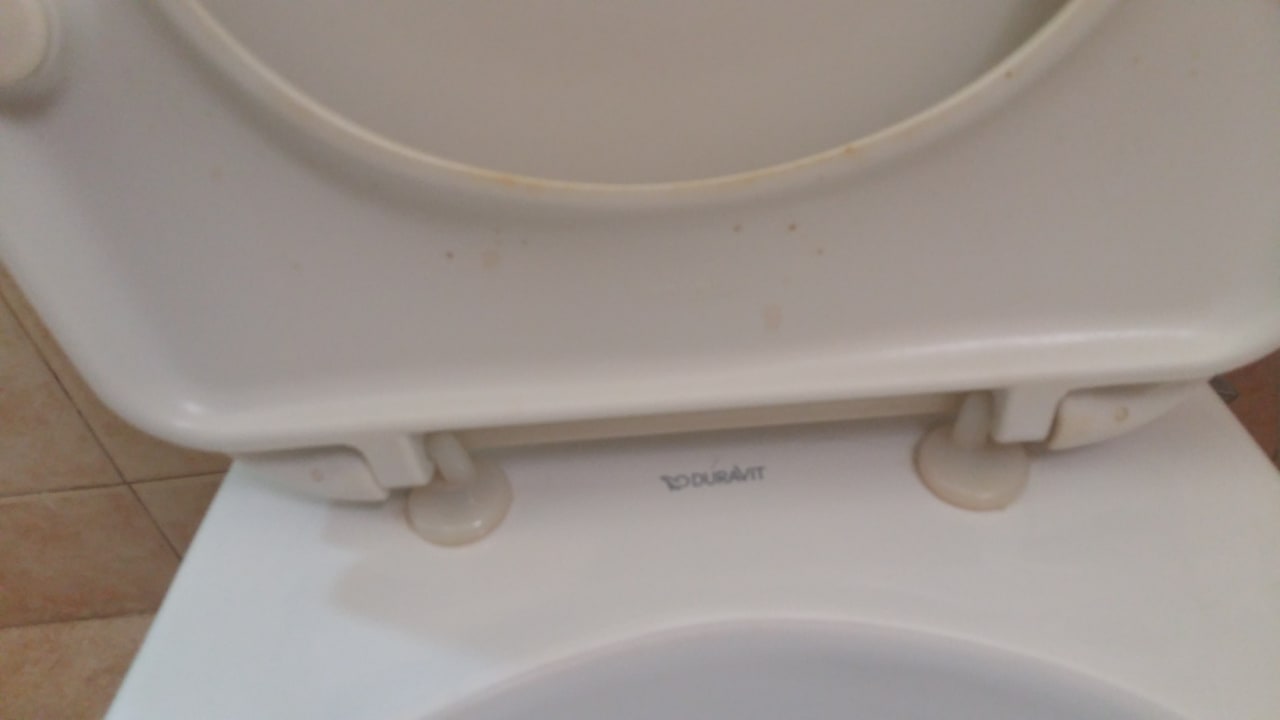 Zimmer JAZ Neo Reef Marsa