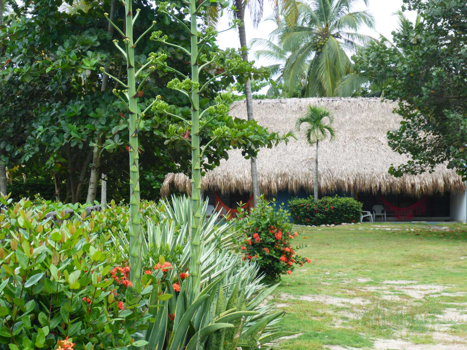Außenansicht Hukumeizi Hotel
