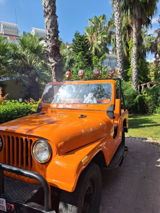 Gartenanlage Hane Family Resort