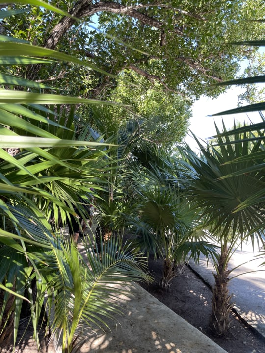 Gartenanlage Akumal Bay Beach & Wellness Resort