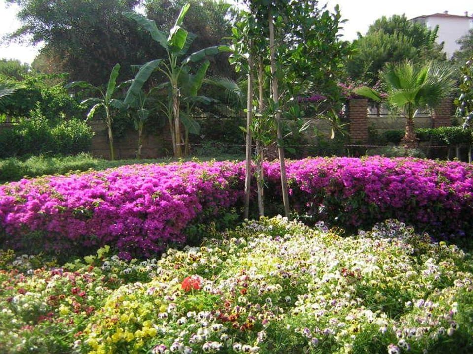 Gartenanlage Gardenia Hotel