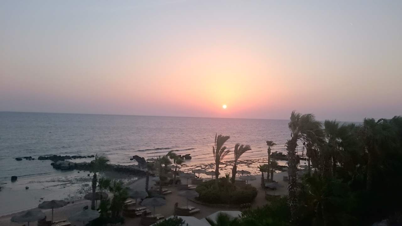 Ausblick Pickalbatros Citadel Resort